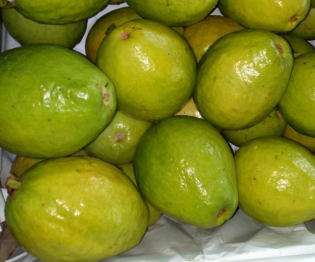 Guayaba