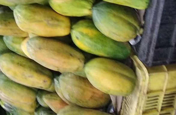 Papaya