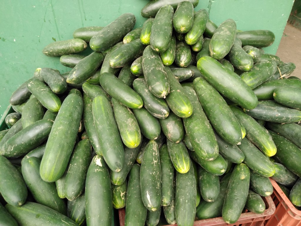 Pepino