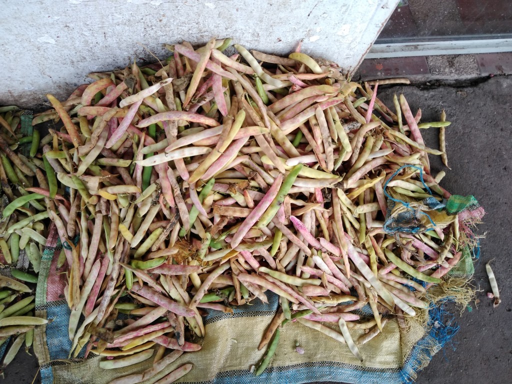 Frijol en vaina
