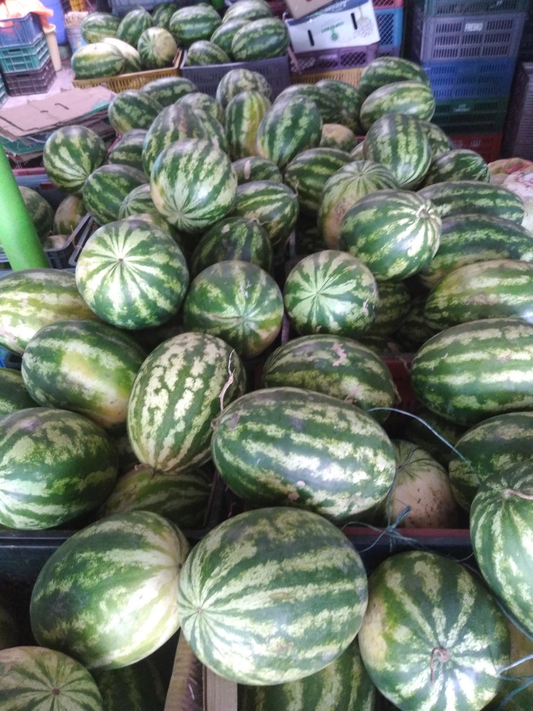 Sandía