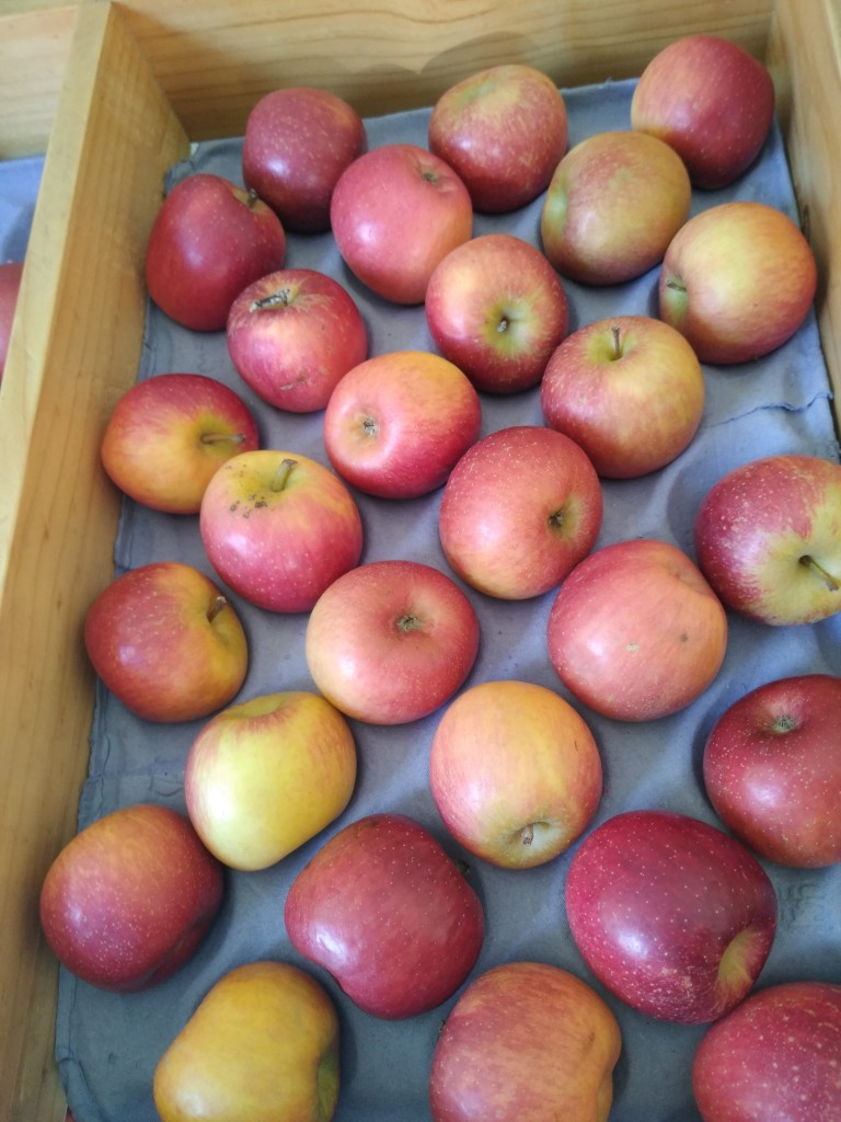 Manzana roja portuguésa