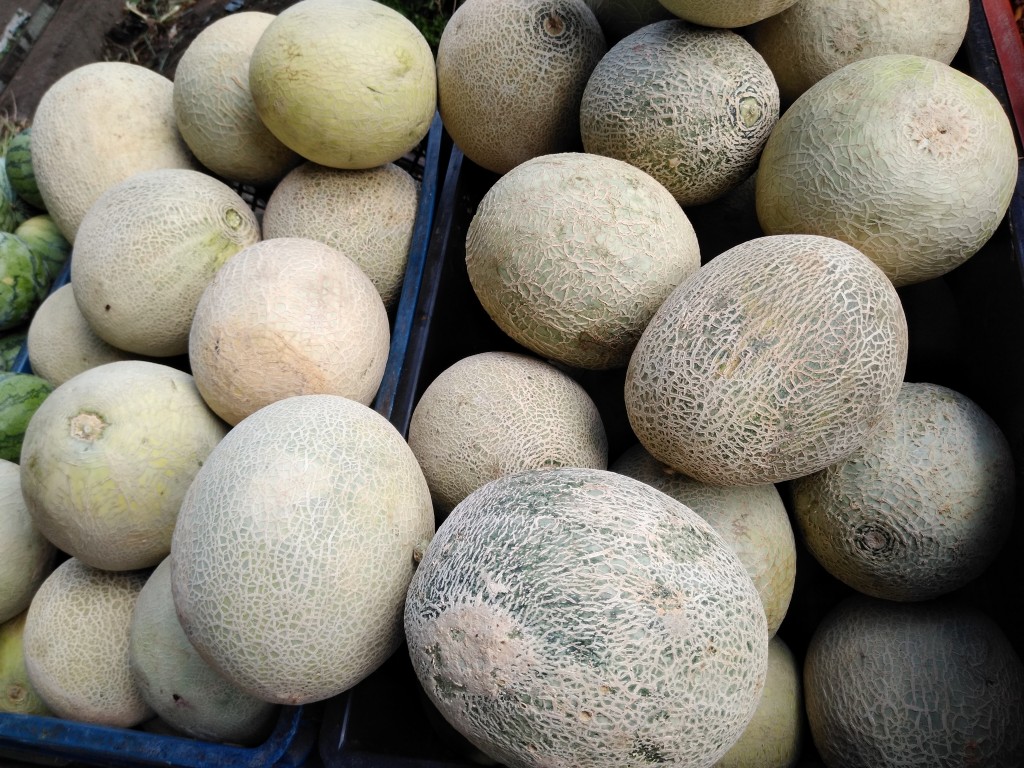 Melón