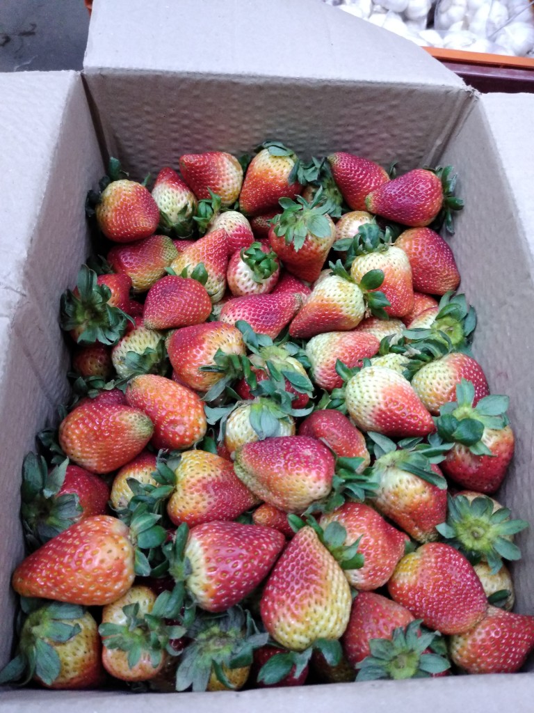 Fresa extra