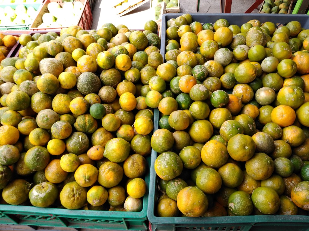Limón mandarino