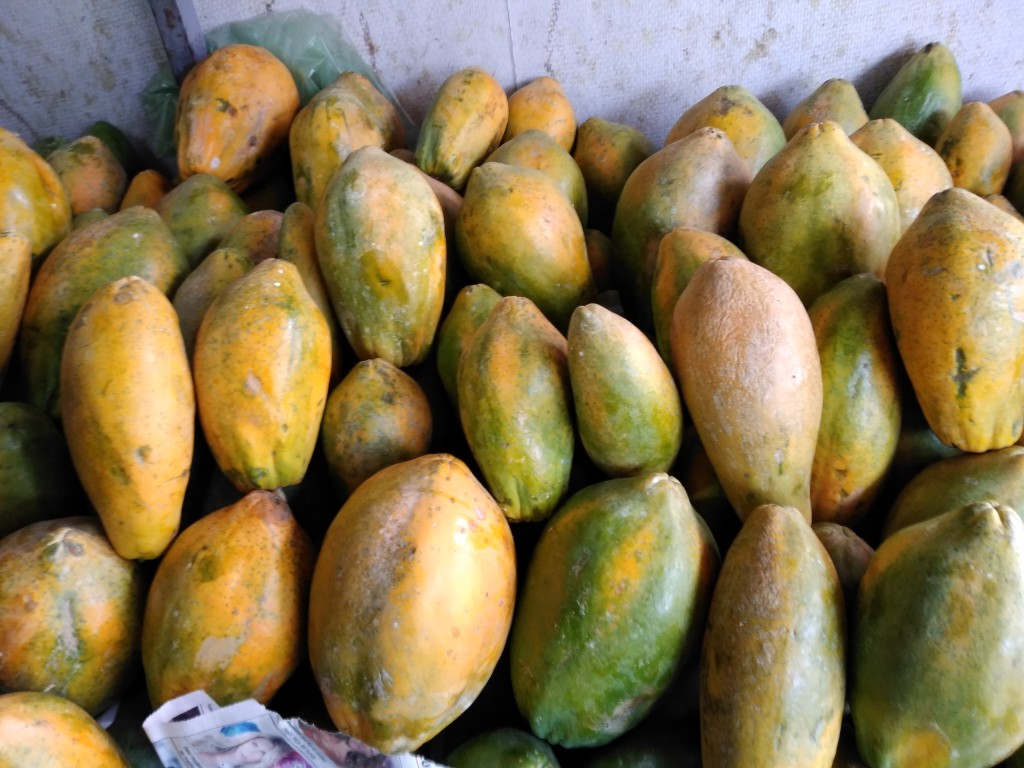 Papaya