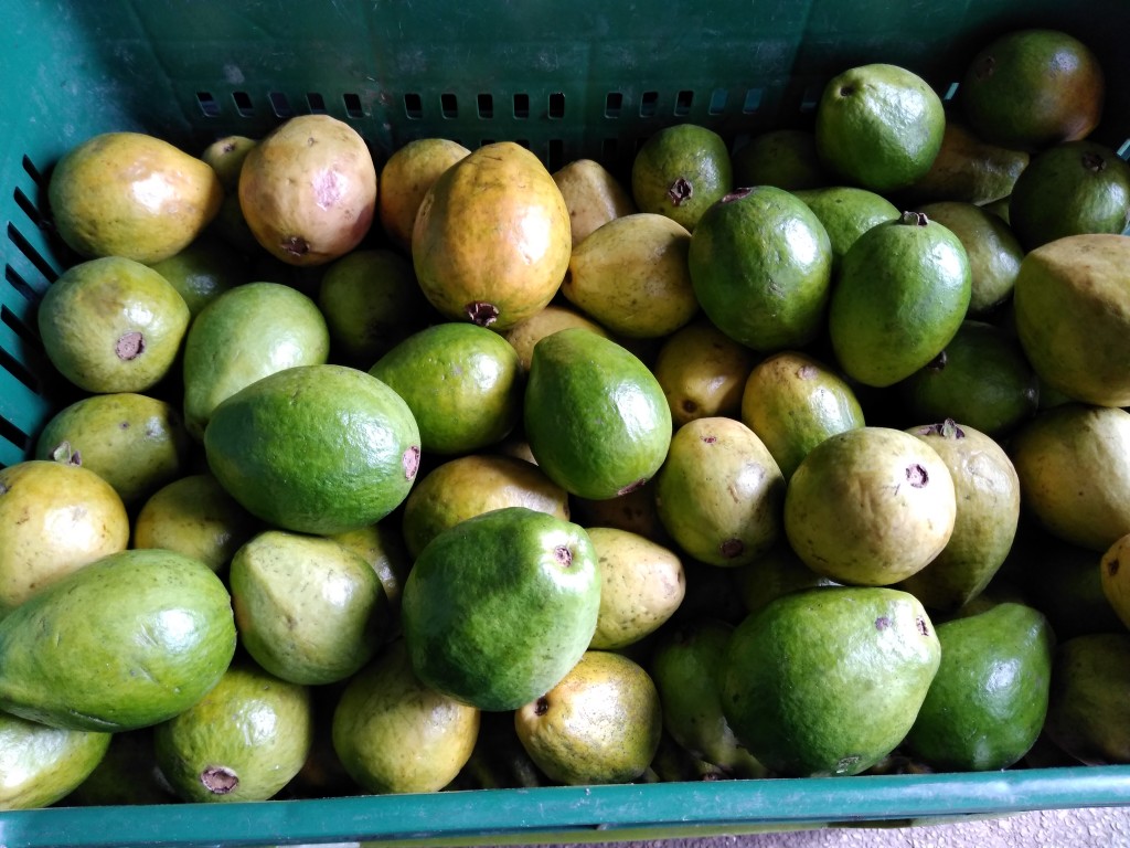 Guayaba dulce