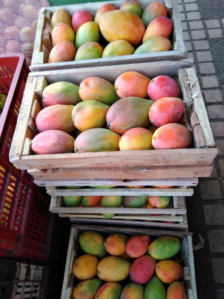 Mango yulimas