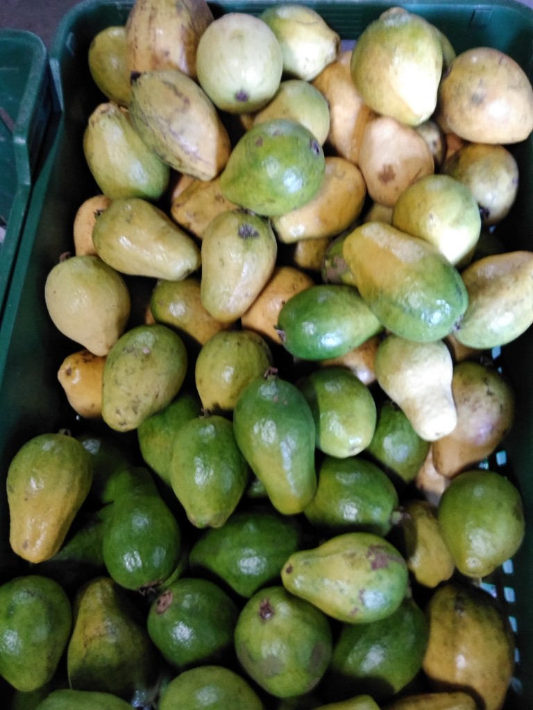 Guayaba dulce