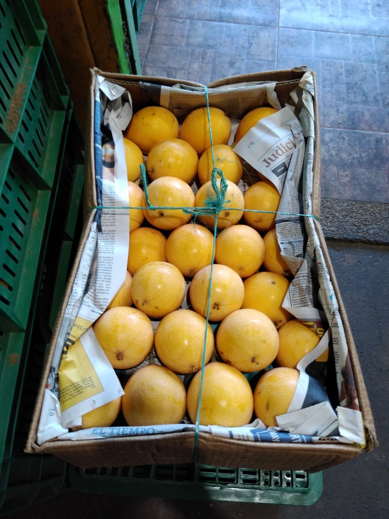 Granadilla