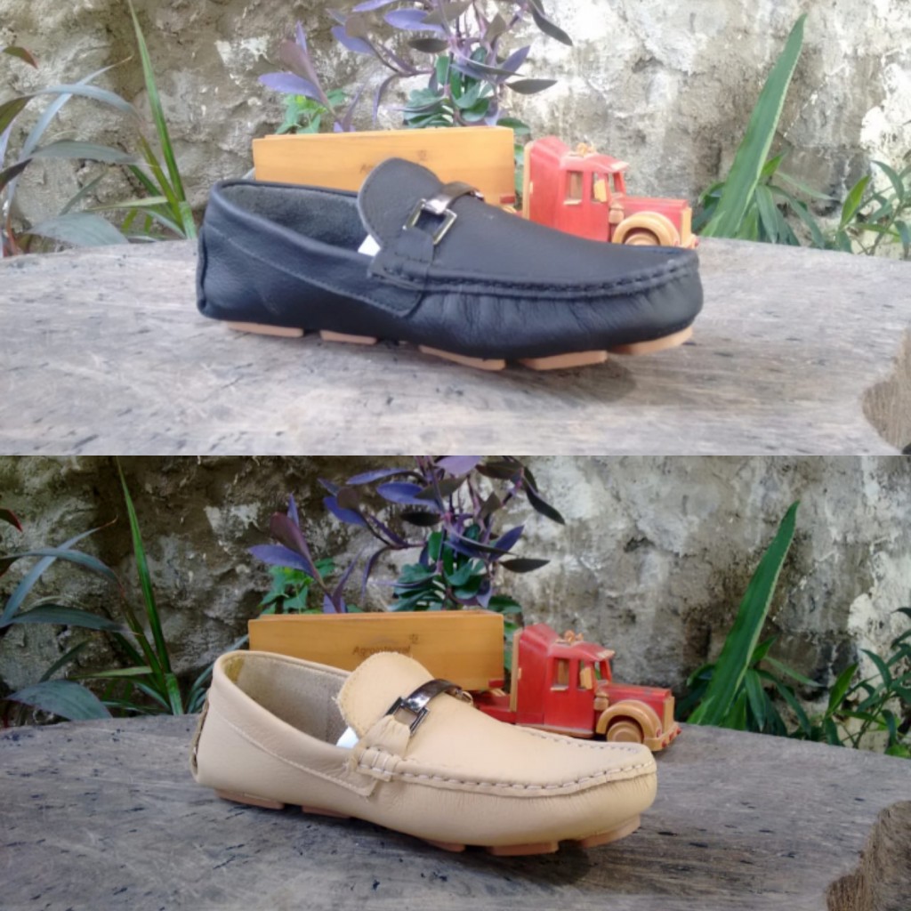 Zapato mocasines en cuero caballero