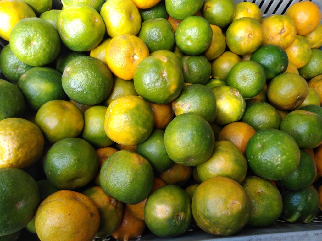 Mandarina oneco pareja