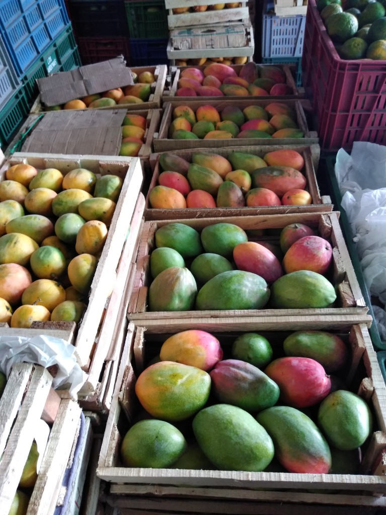 Mango yulimas