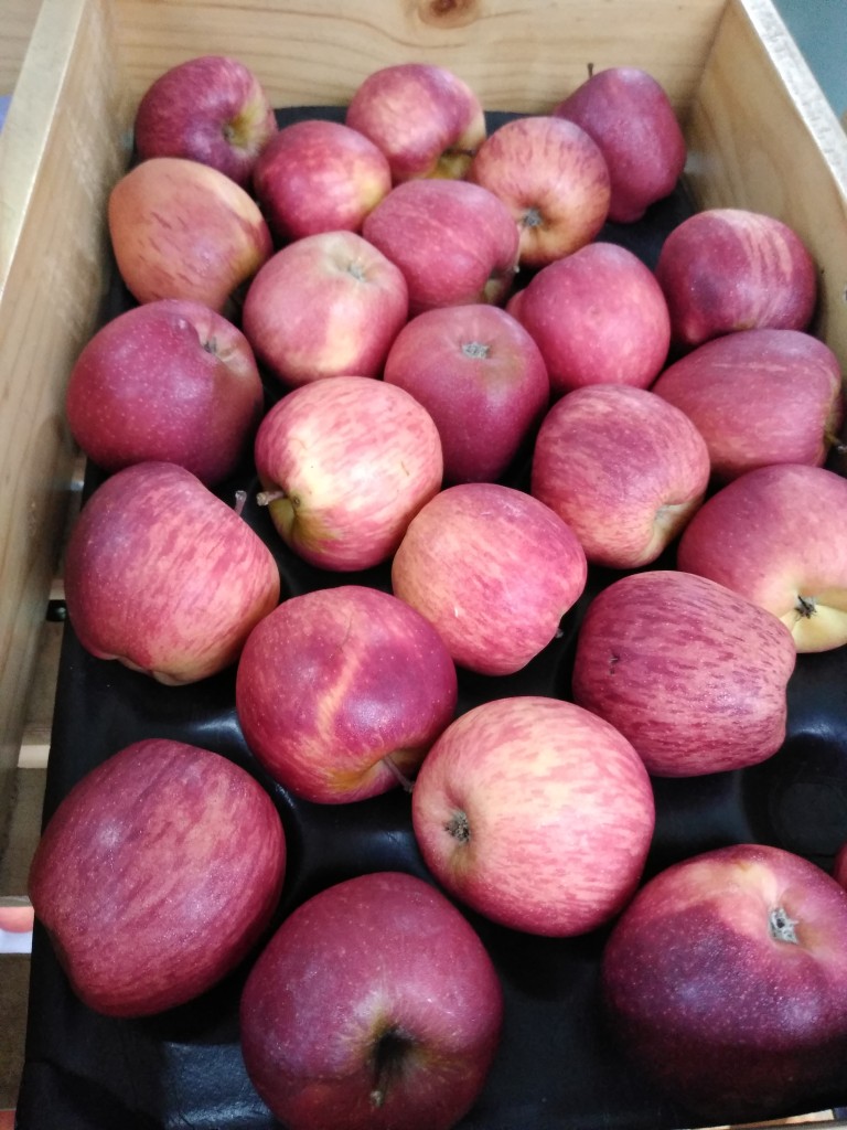 Manzana roja gala