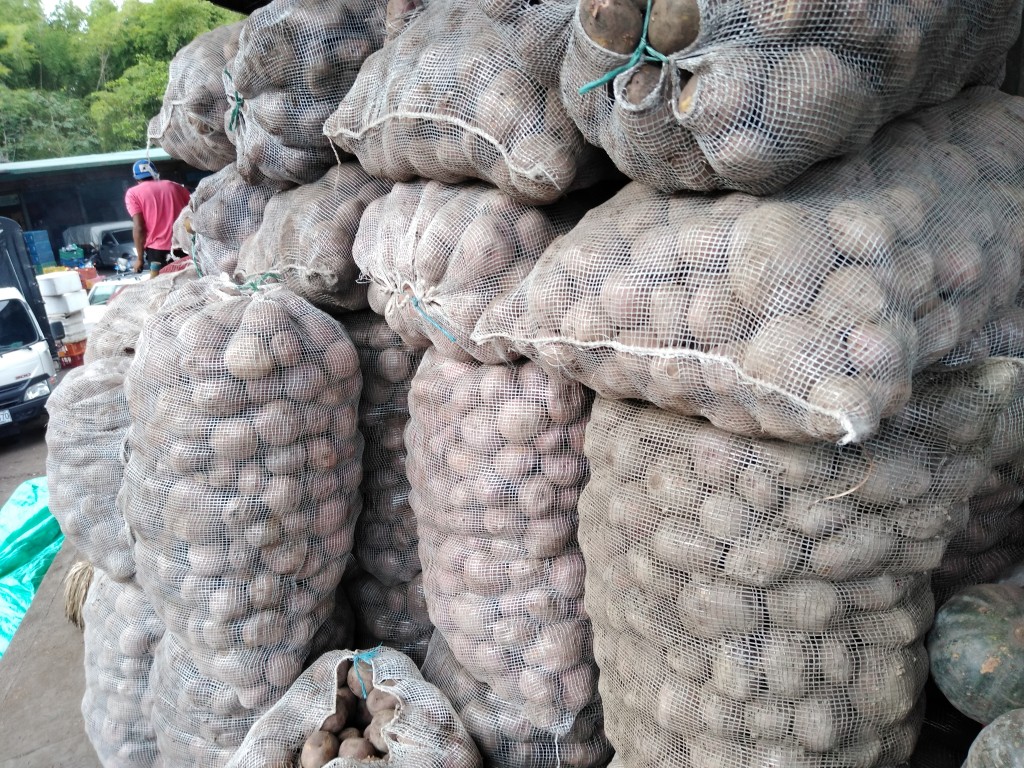 Papa roja Bogotana