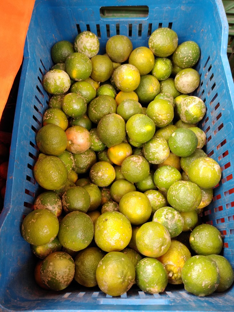 Limón mandarino