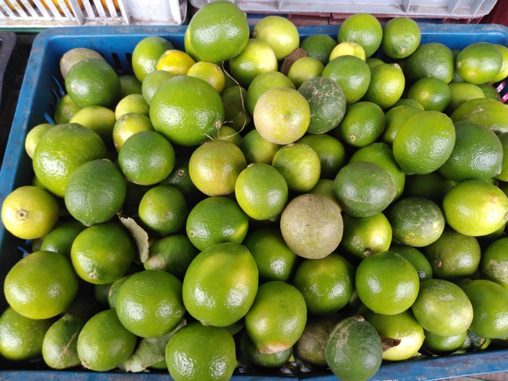 Limón Tahití 1ra