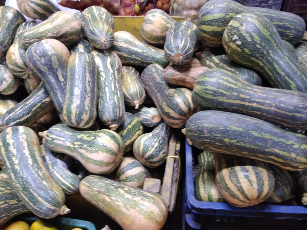 Calabacín-Sakata