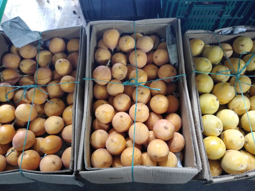 Granadilla 2da