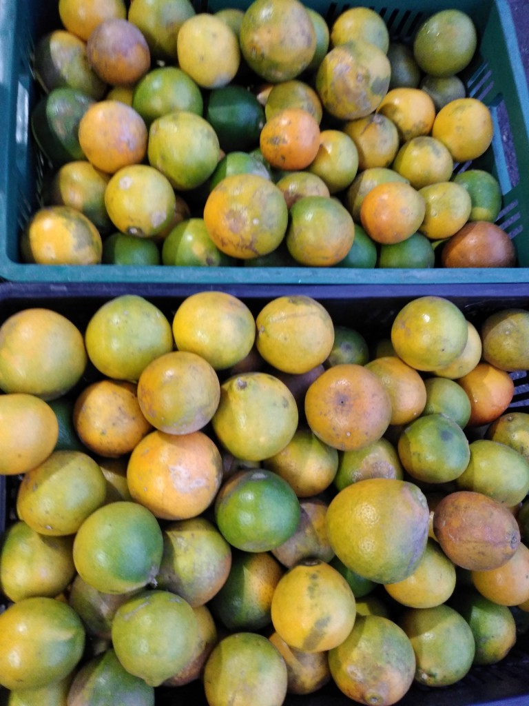 Naranja tangelo