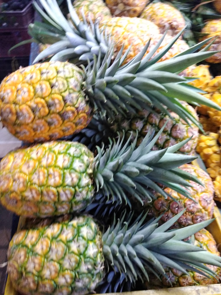 Piña oro miel 1ra