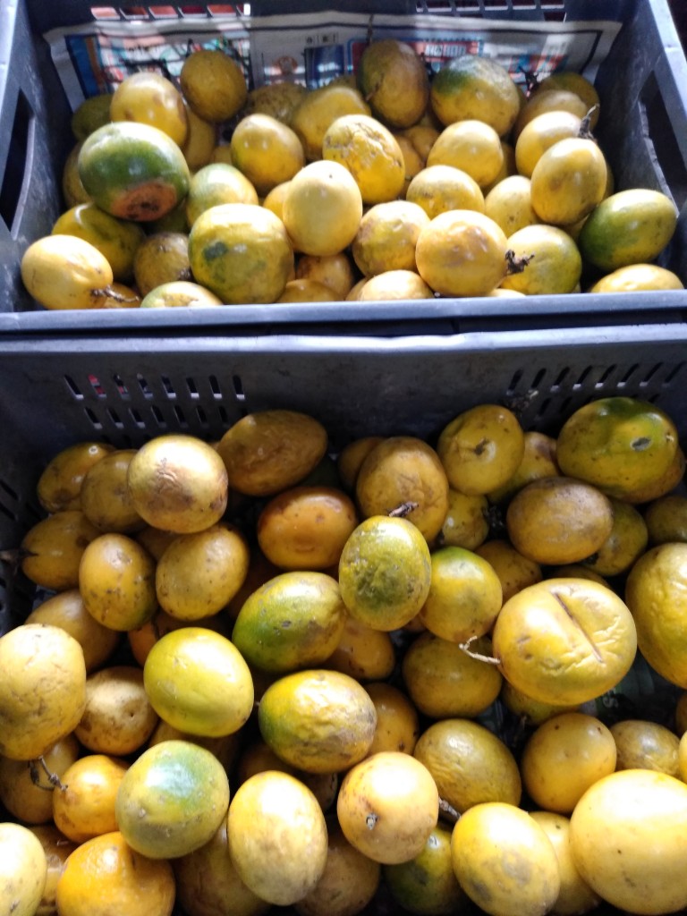 Maracuyá