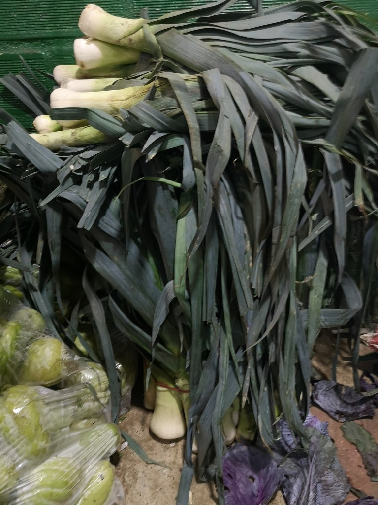 Cebolla Puerro