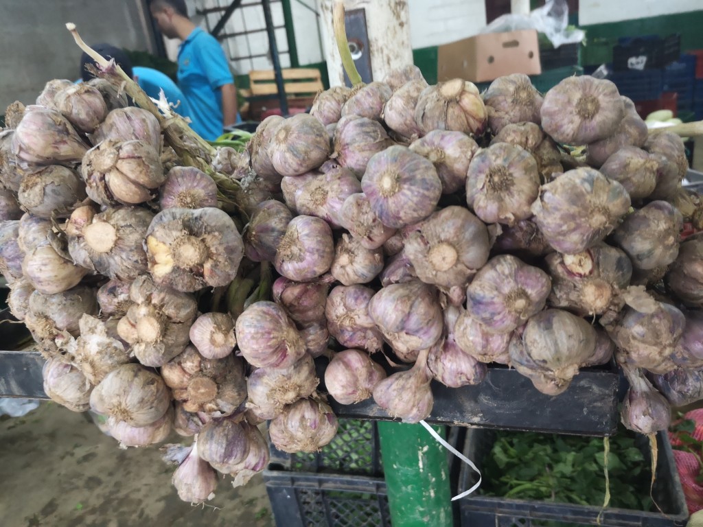 Ajó Criollo/kg