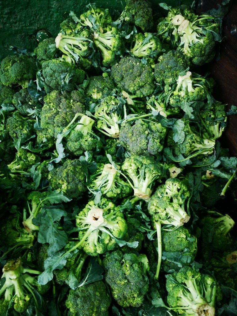 Brócoli