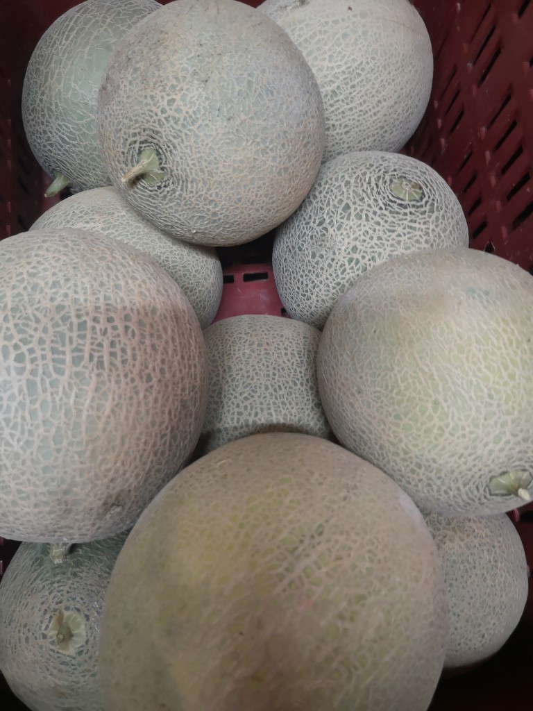 Melon
