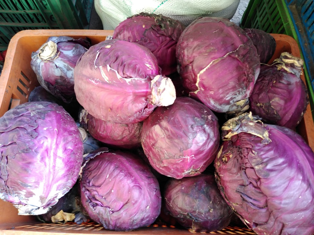 Repollo morado