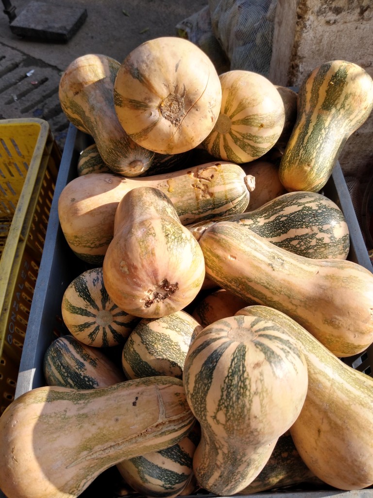 Calabacín-sakata