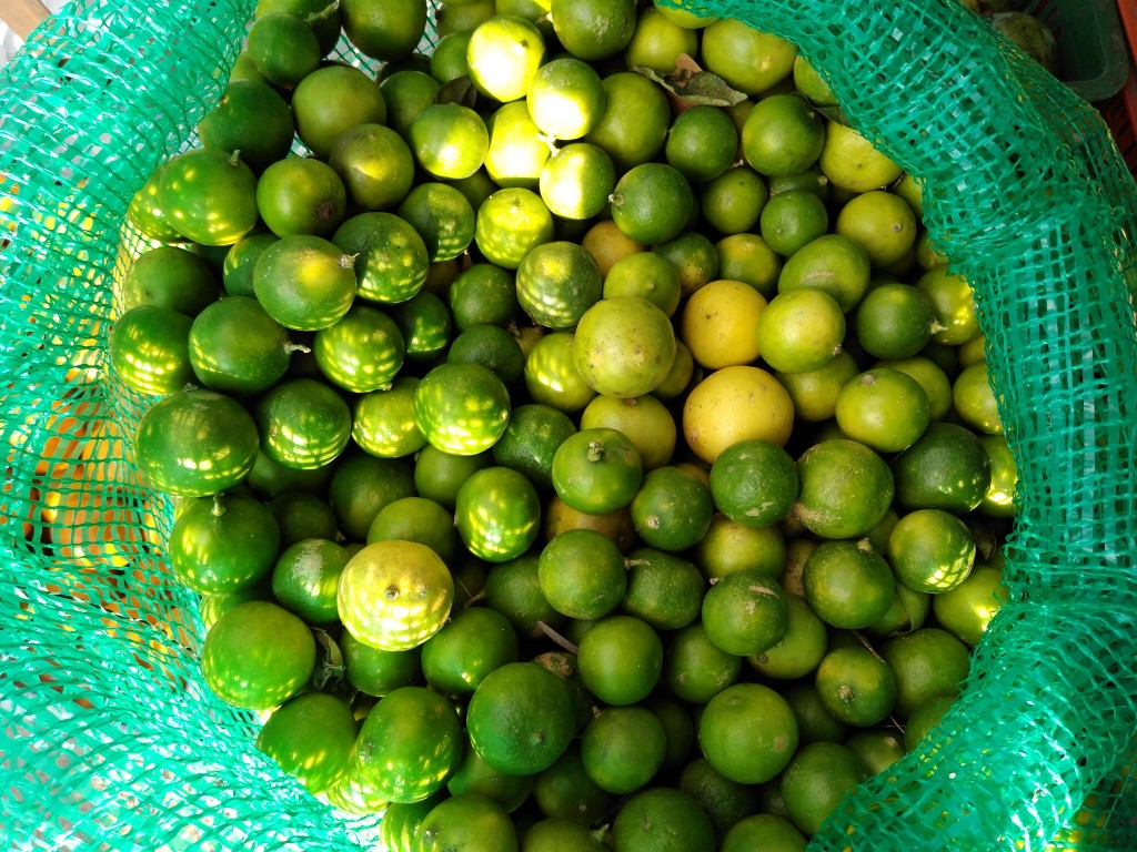 Limón pajarito