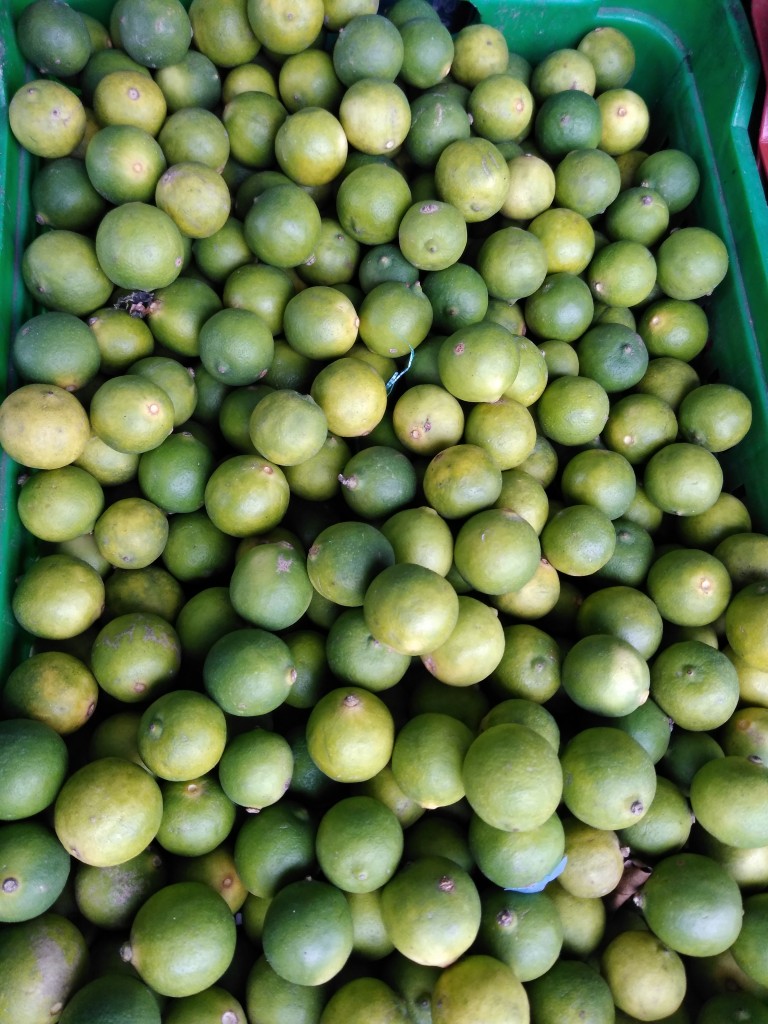 Limón pajarito