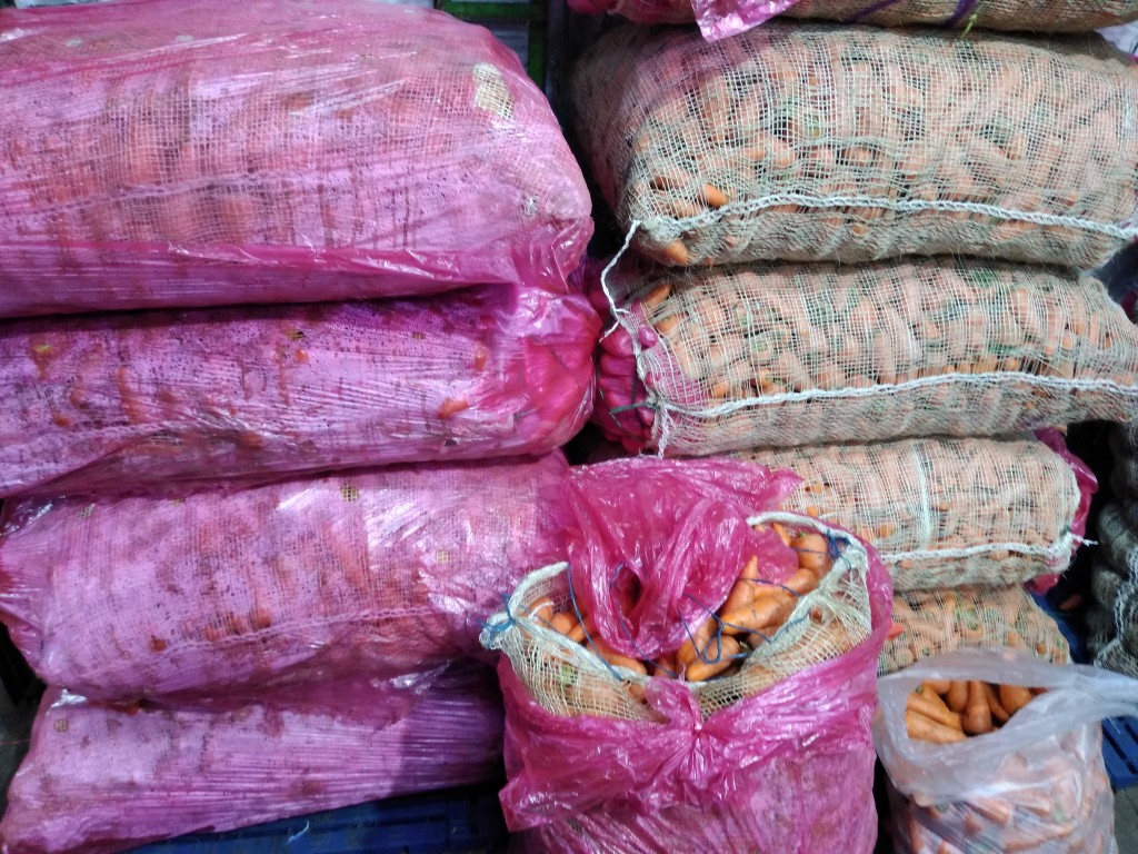 Zanahoria