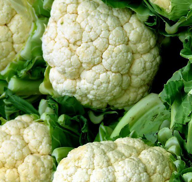 Coliflor