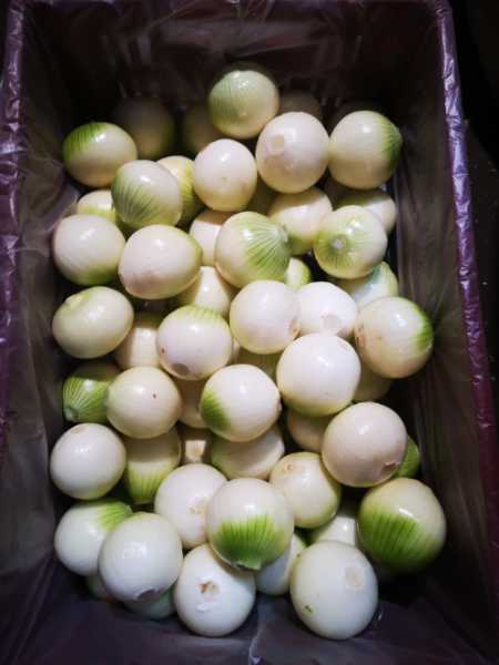 Cebolla roja y blanca pelada