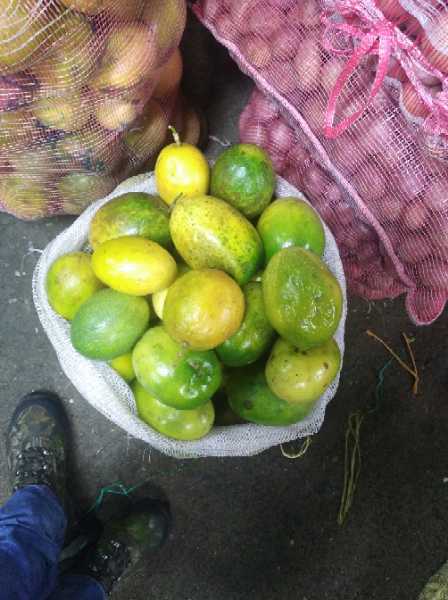 Maracuya agranel