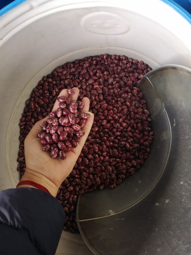 Frijol Cargamanto Rojo/Bulto