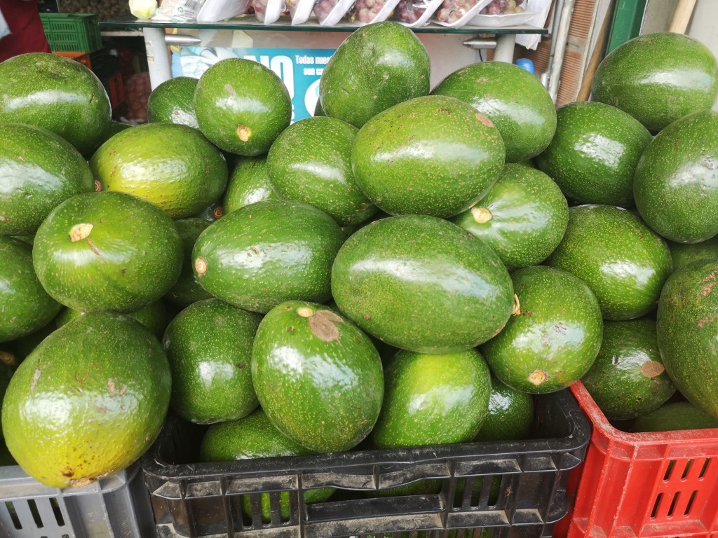 Aguacate choquette