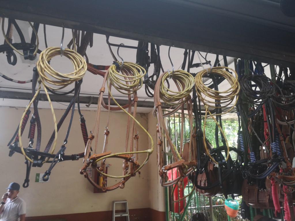 Apero de cabeza en cuero del valle