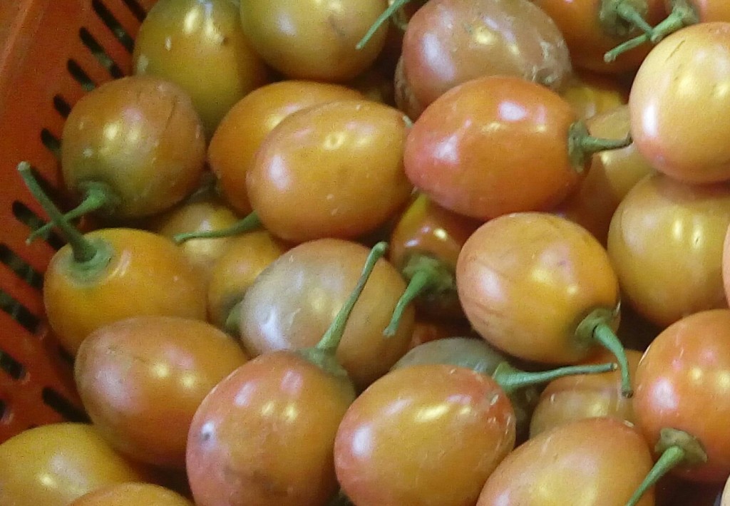 Tomate de arbol