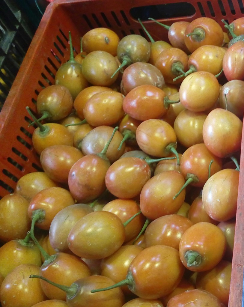 Tomate de arbol