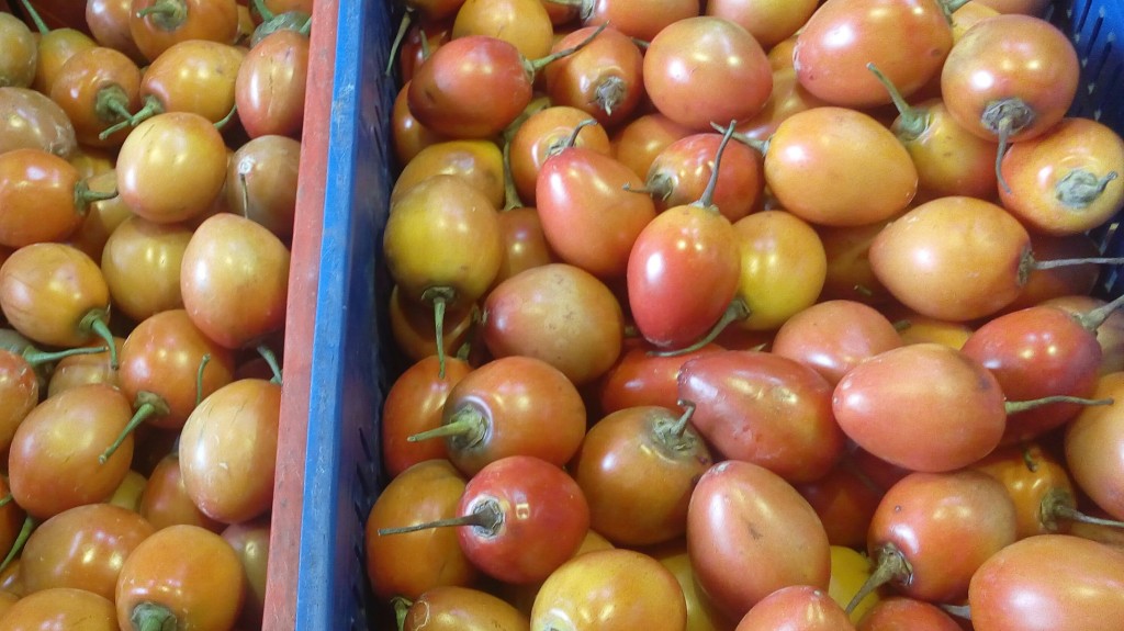 Tomate de árbol