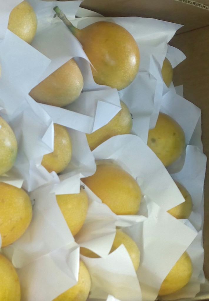 Granadilla