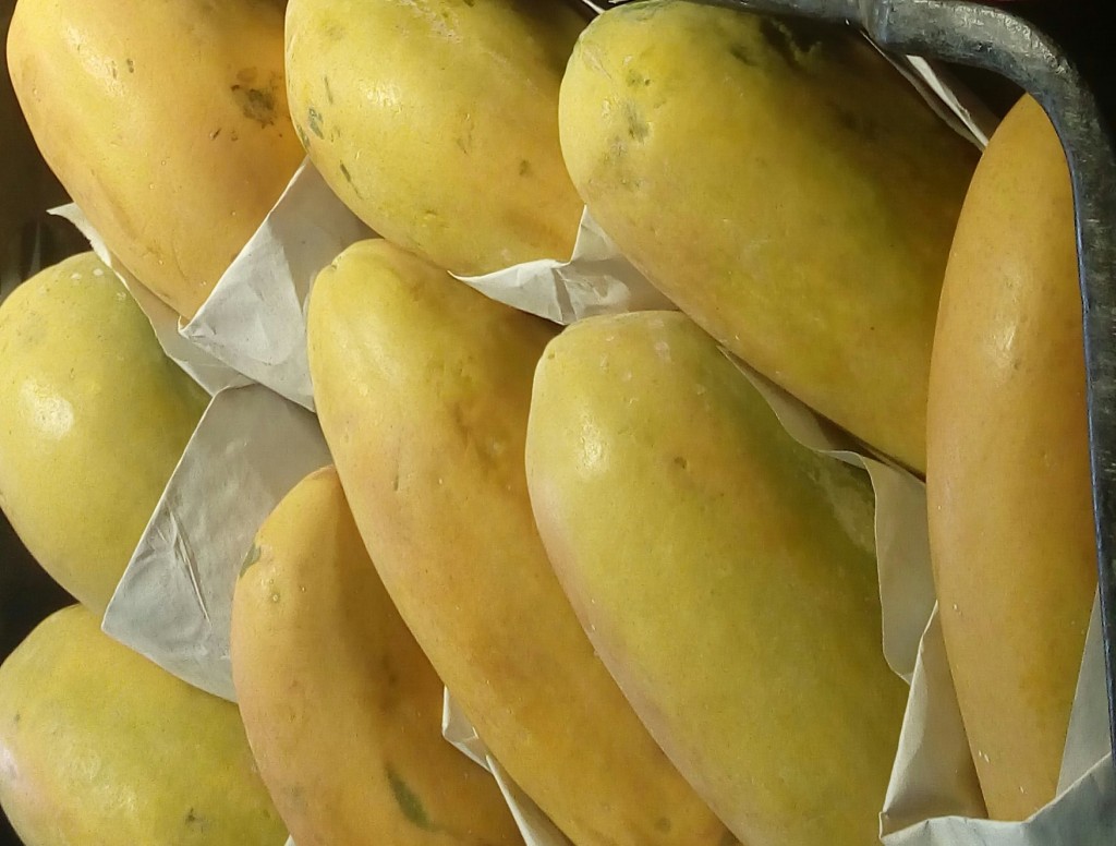Papaya