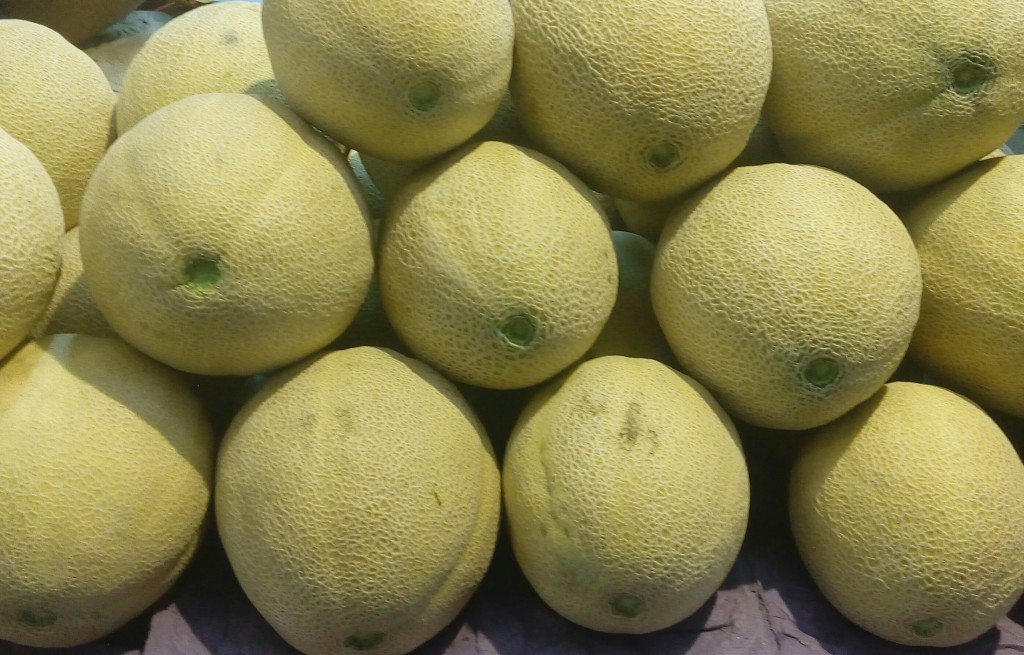 Melon