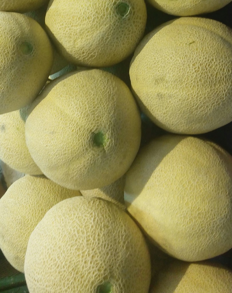 Melón