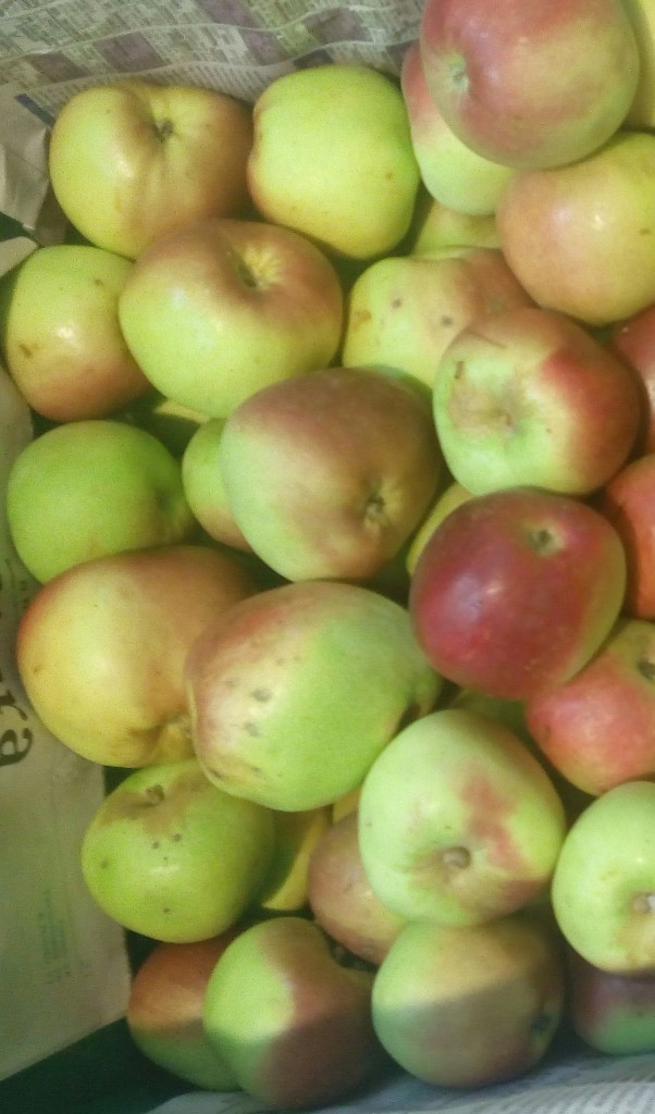 Manzana
