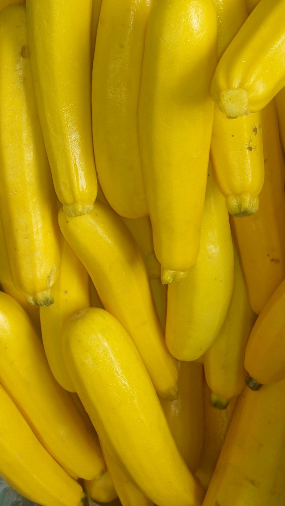 Zucchini amarillo